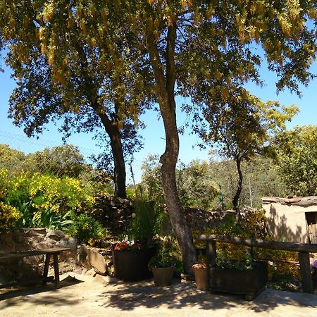 Valdolazaro Guest House Los Navalucillos ภายนอก รูปภาพ