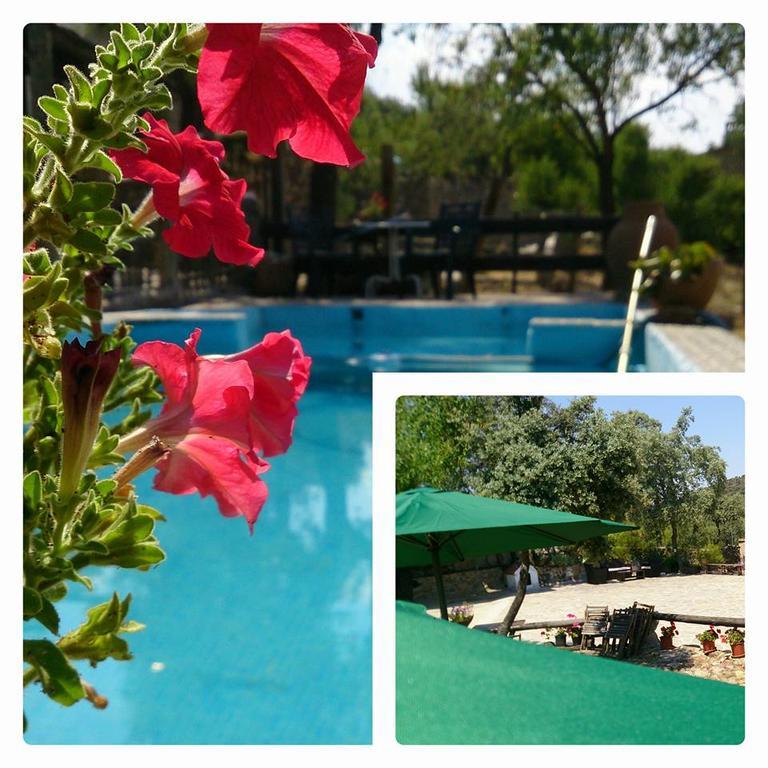 Valdolazaro Guest House Los Navalucillos ภายนอก รูปภาพ