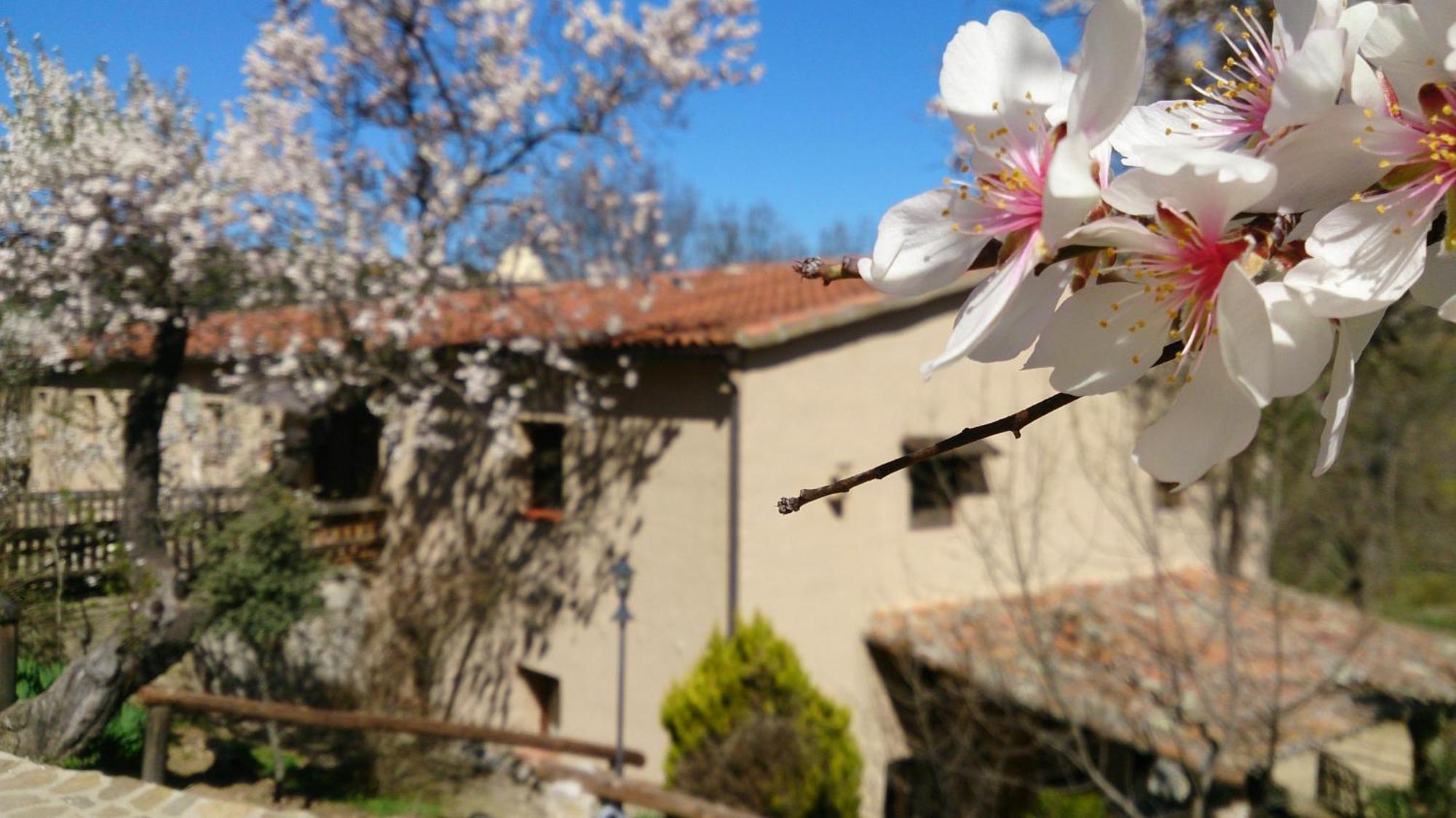 Valdolazaro Guest House Los Navalucillos ภายนอก รูปภาพ