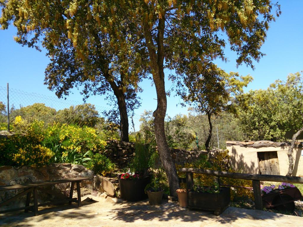 Valdolazaro Guest House Los Navalucillos ภายนอก รูปภาพ