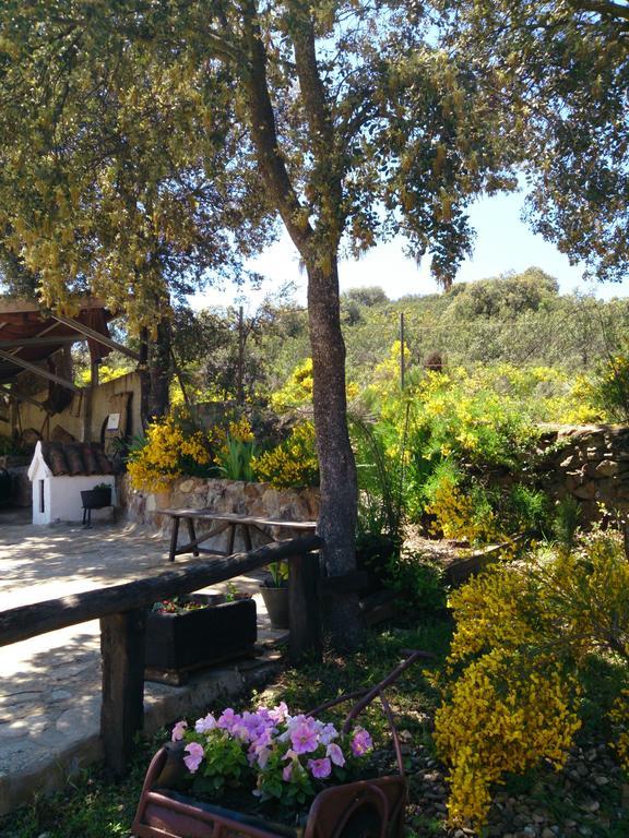 Valdolazaro Guest House Los Navalucillos ภายนอก รูปภาพ