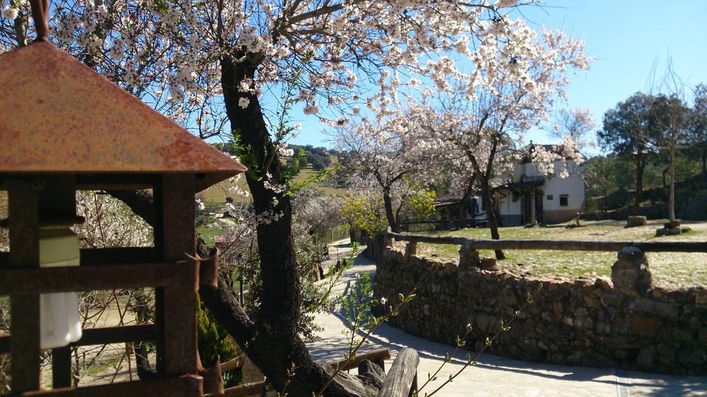 Valdolazaro Guest House Los Navalucillos ภายนอก รูปภาพ